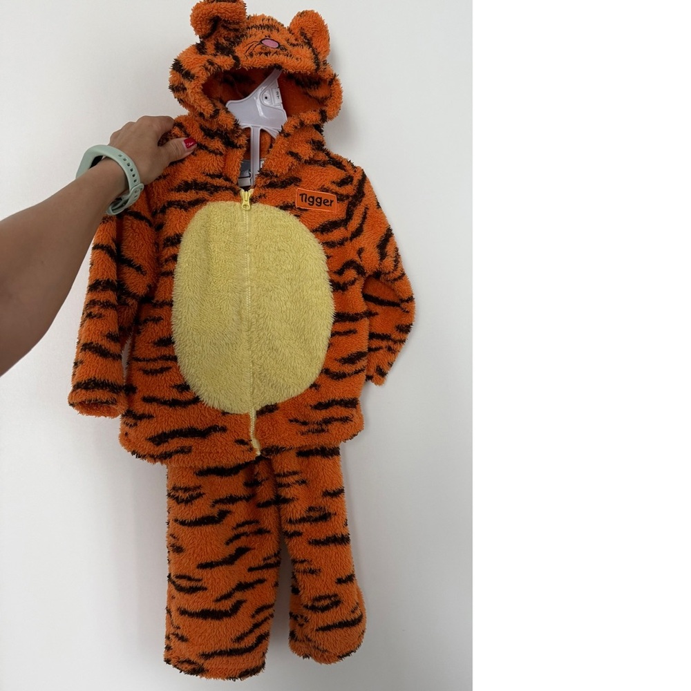 Tiger Hoodie & Pants / Kids Halloween Costume